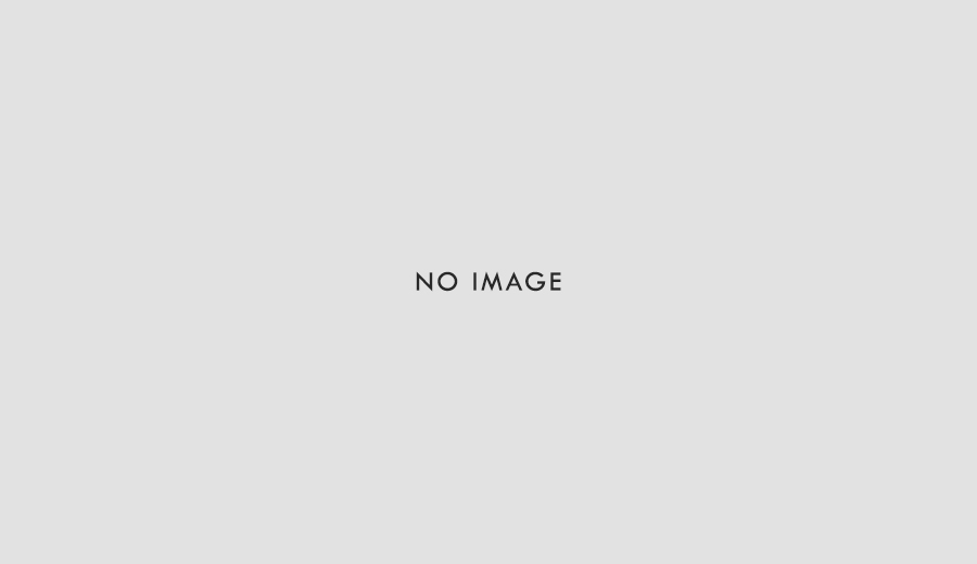 放鷹術奉納行事が各種報道されていたようです 放鷹術奉納行事が各種報道されていたようです