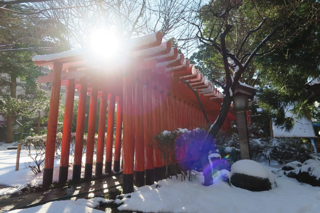 明るく輝く未来に向けて