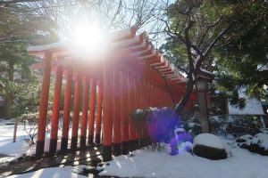 明るく輝く未来に向けて