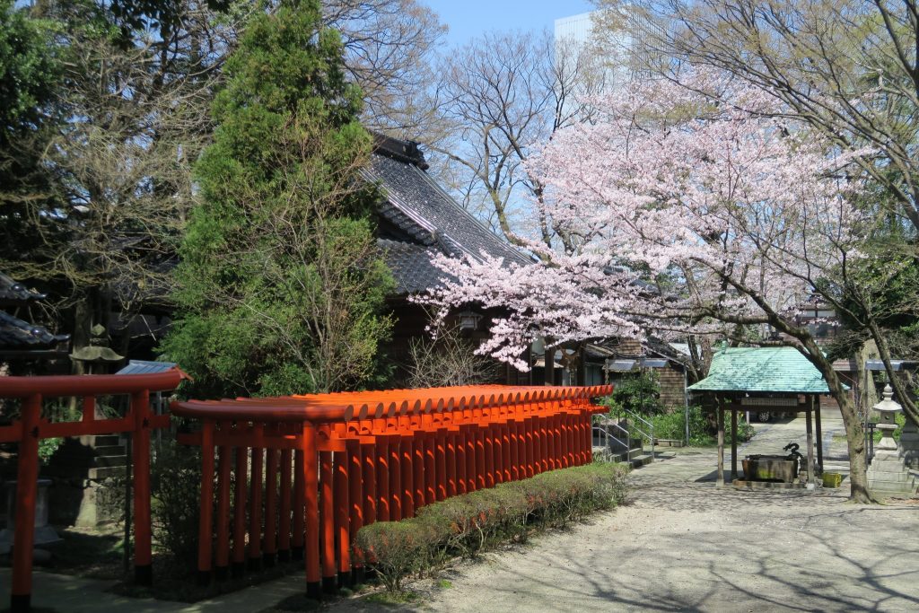 春には桜が咲き誇る境内