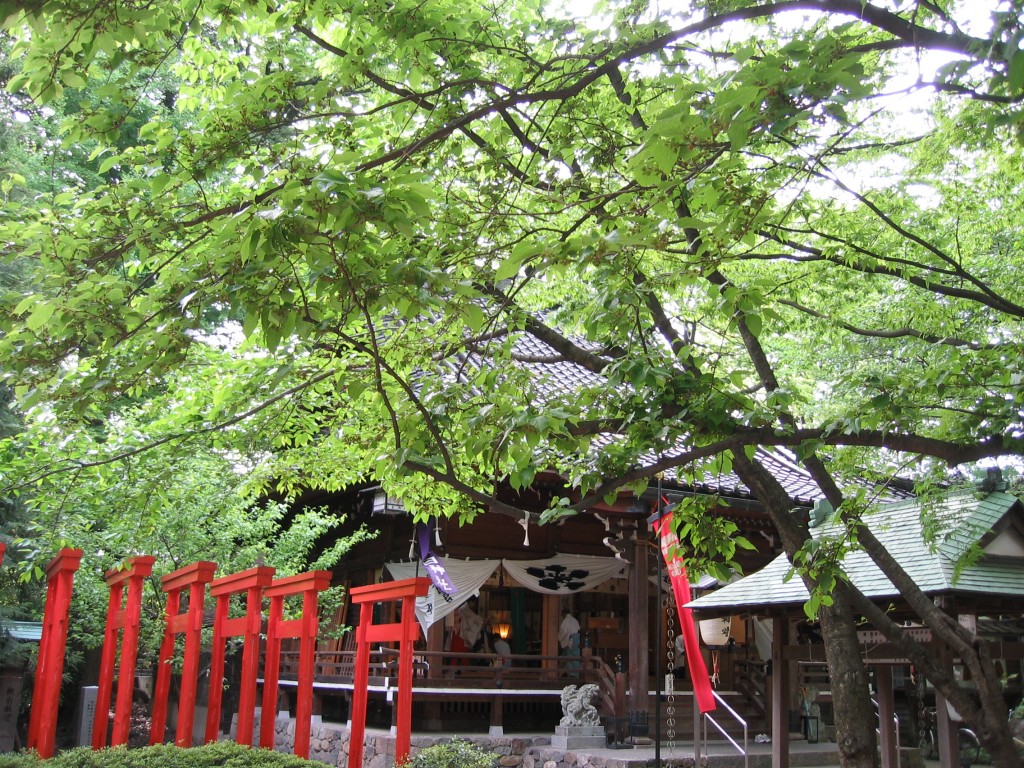 葉の生い茂った境内から拝殿を望む