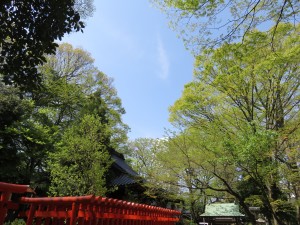 境内から望む大空