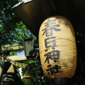 春日神社提灯