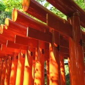 赤鳥居