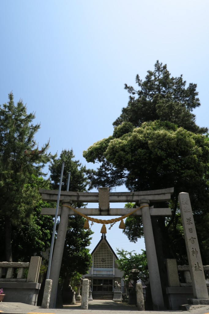 美しく晴れた春の一時