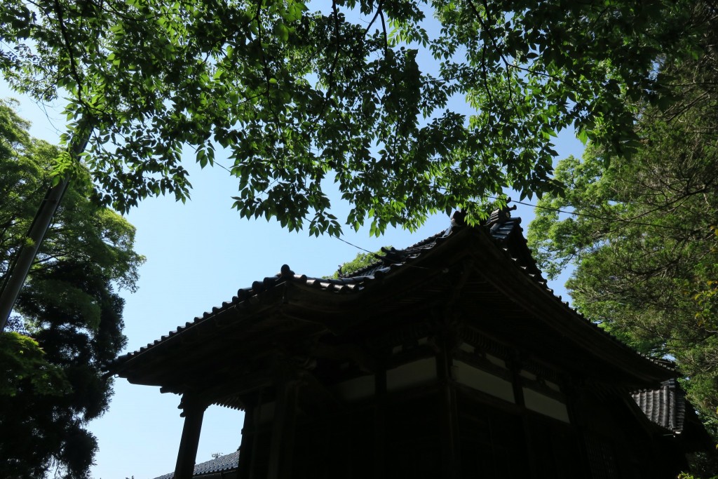 美しい空も垣間見える