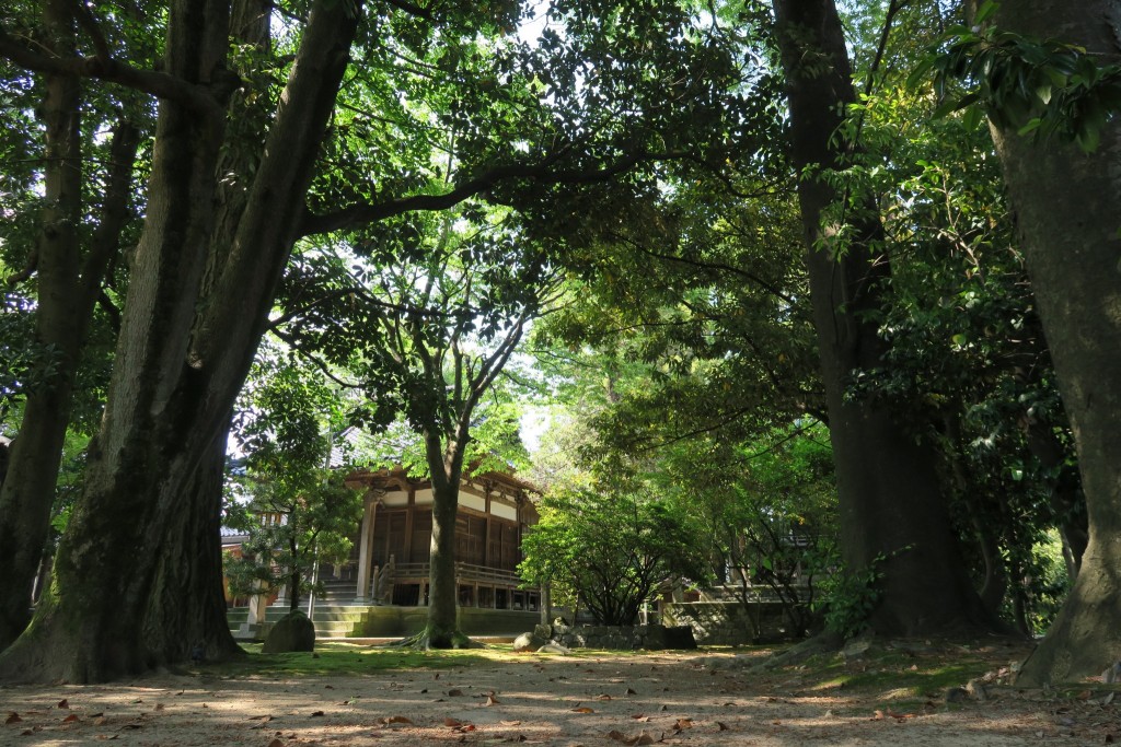 境内の木々に佇む宇佐八幡神社拝殿