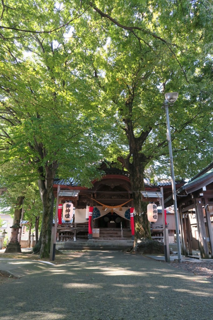 赤い御旗の揺れる拝殿遠景