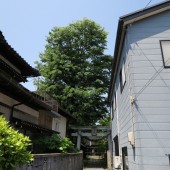 御馬神社　参道を望む行動より撮影