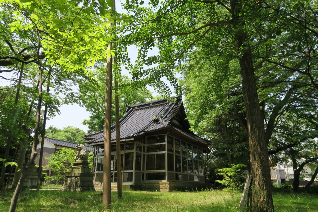 森の中に佇む拝殿