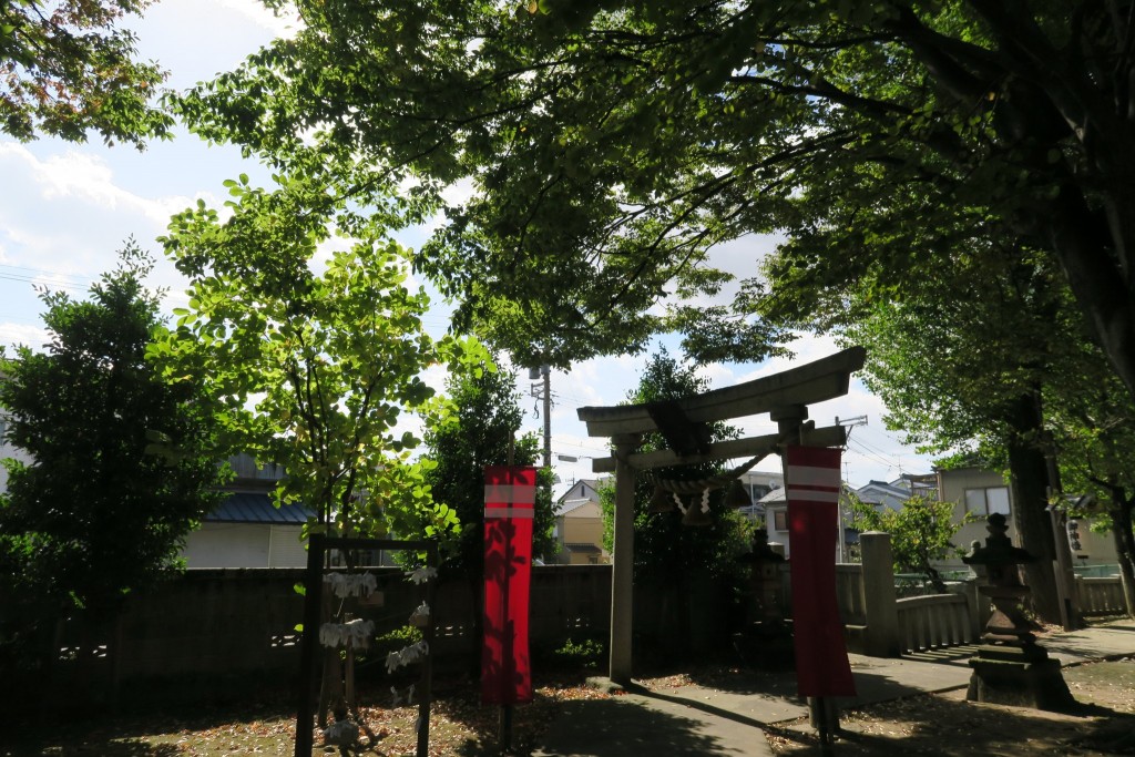 肌寒いながらも日の光は溢れ暖を注いでくれておりました。
