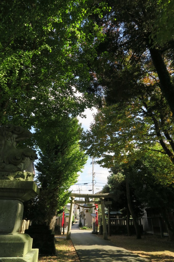 気持ちの良い二日間でした。
