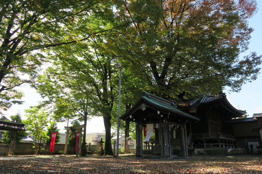 先日新調された街頭(中央電柱に設置)