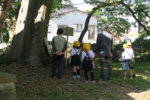 樹齢200年の御神木を見上げる皆さん