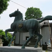 平成27年 5月15日荒川神社 09
