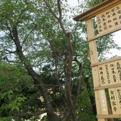 平成27年9月23日 荒川神社 03