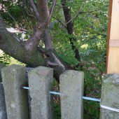 平成27年9月23日 荒川神社 02