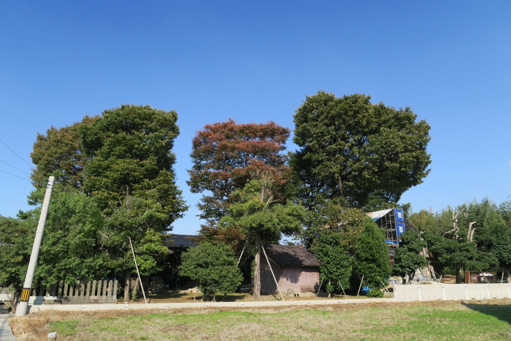平成27年10月18日　荒川神社　26