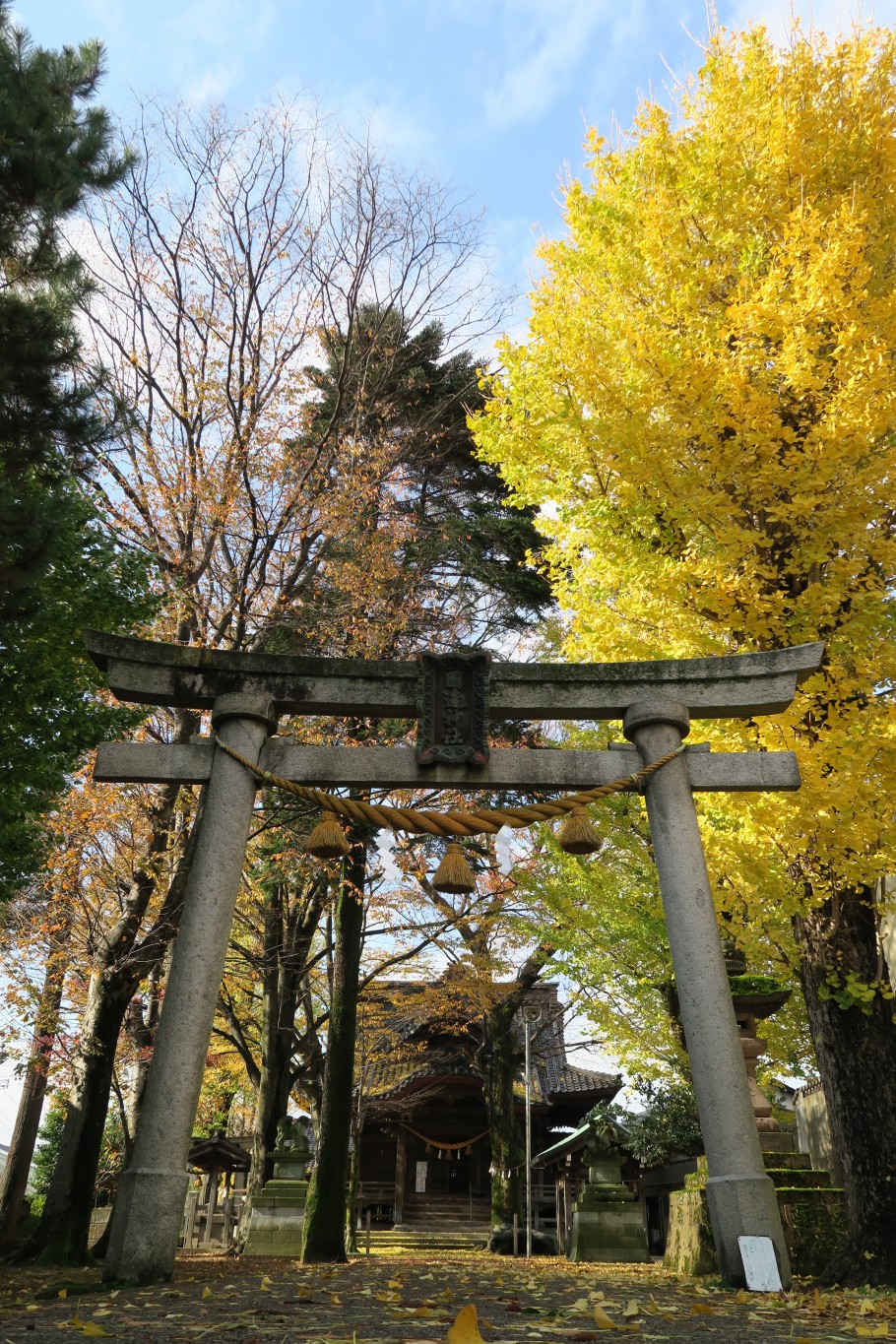 冬の到来を醸す国造神社参道