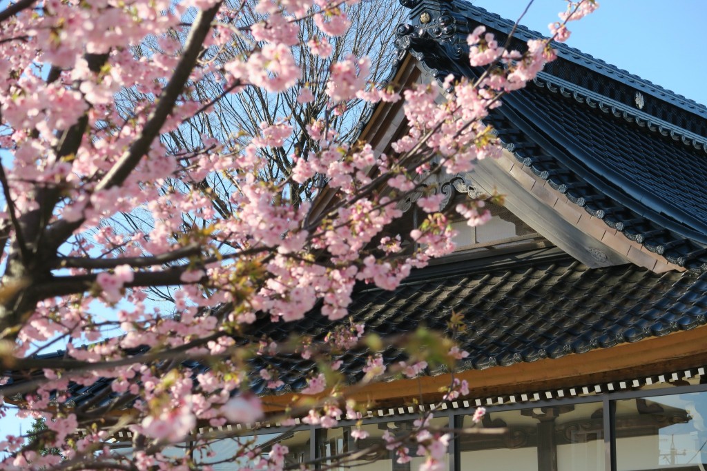 二日市荒川神社の新しくなった屋根瓦