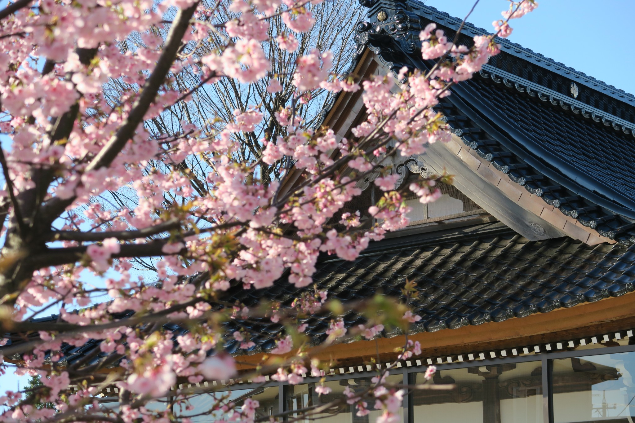 二日市荒川神社の新しくなった屋根瓦