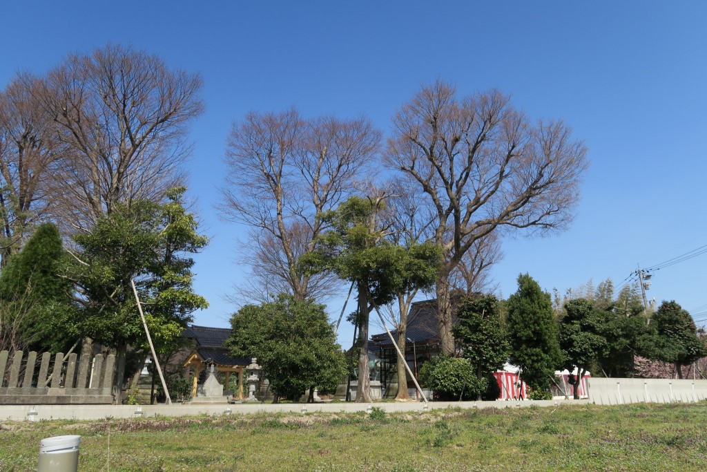 二日市 荒川神社 雲一つ無い晴天に恵まれました