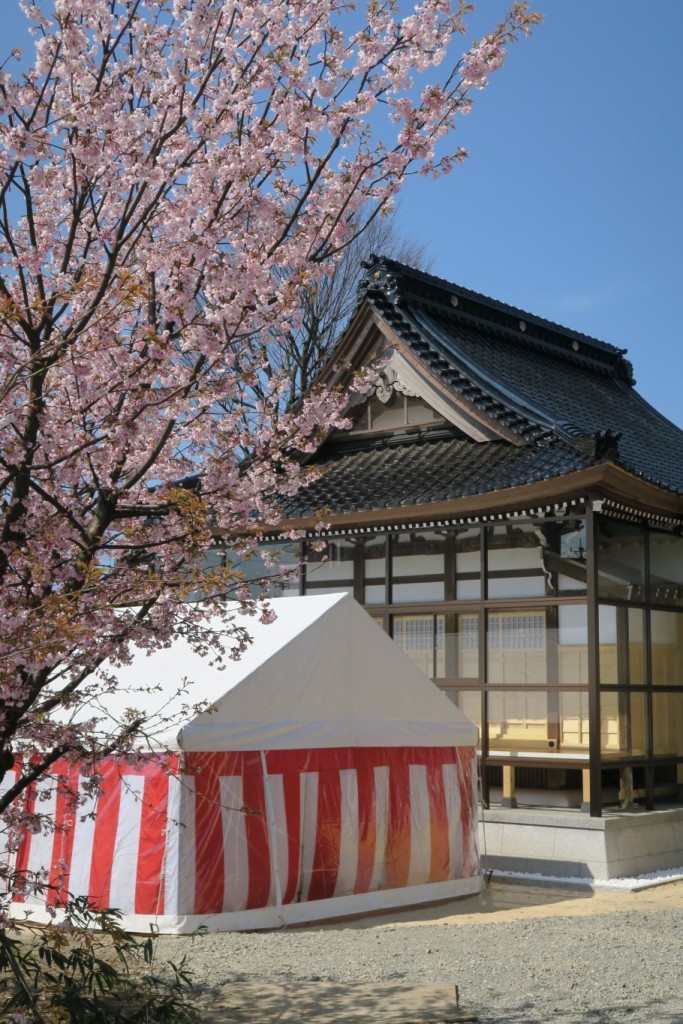 二日市荒川神社御造営慶賀祭と桜