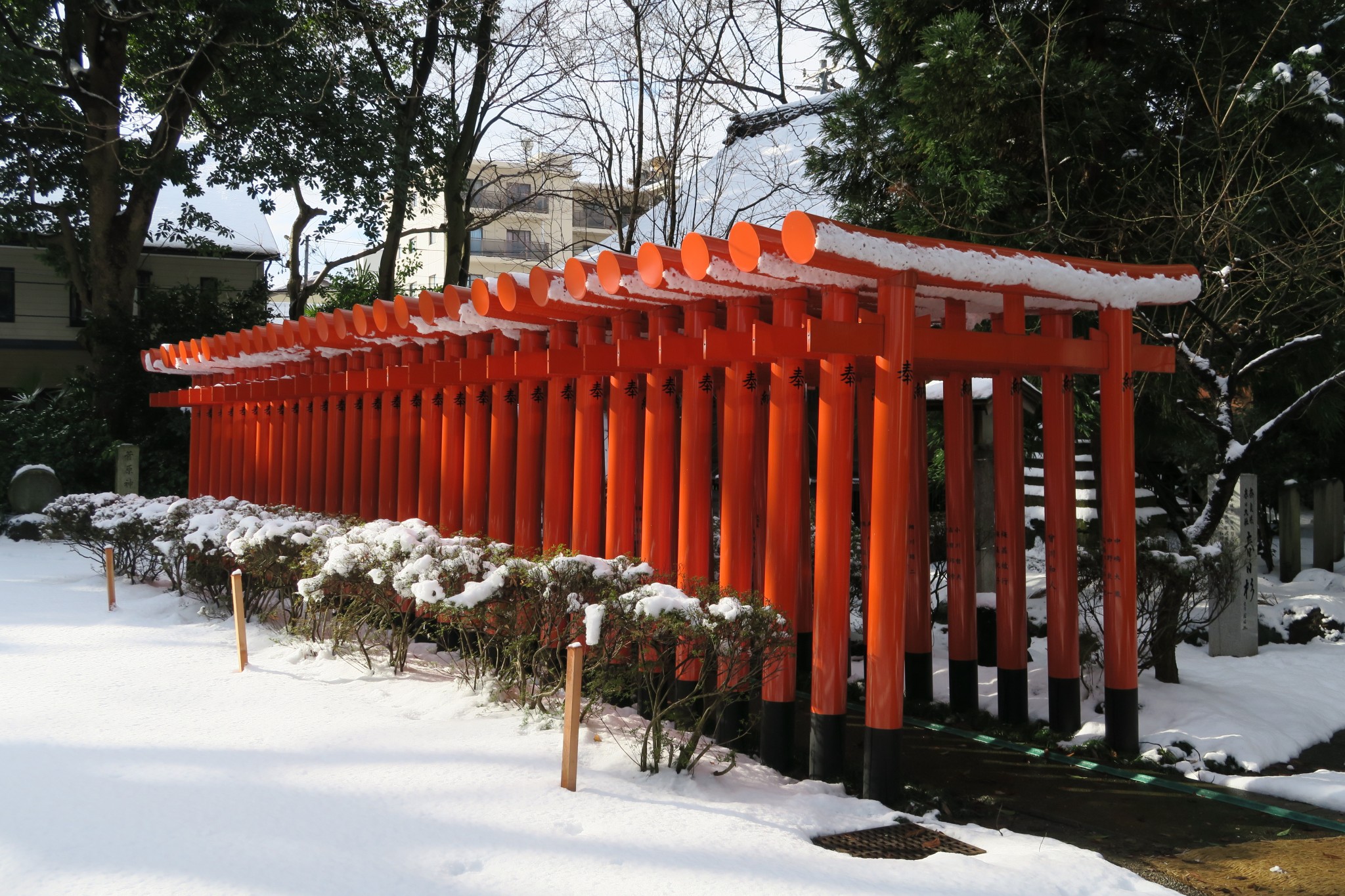 平成28年1月下旬　赤鳥居よりさらに奥が今回の整備場所