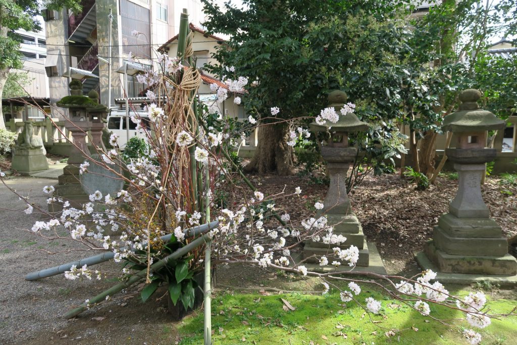 平成29年 春季かすが花展 4