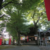 国造神社境内に赤い旗が連なる