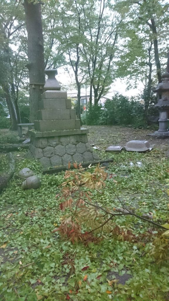一人の人間では持つことも出来ない枝