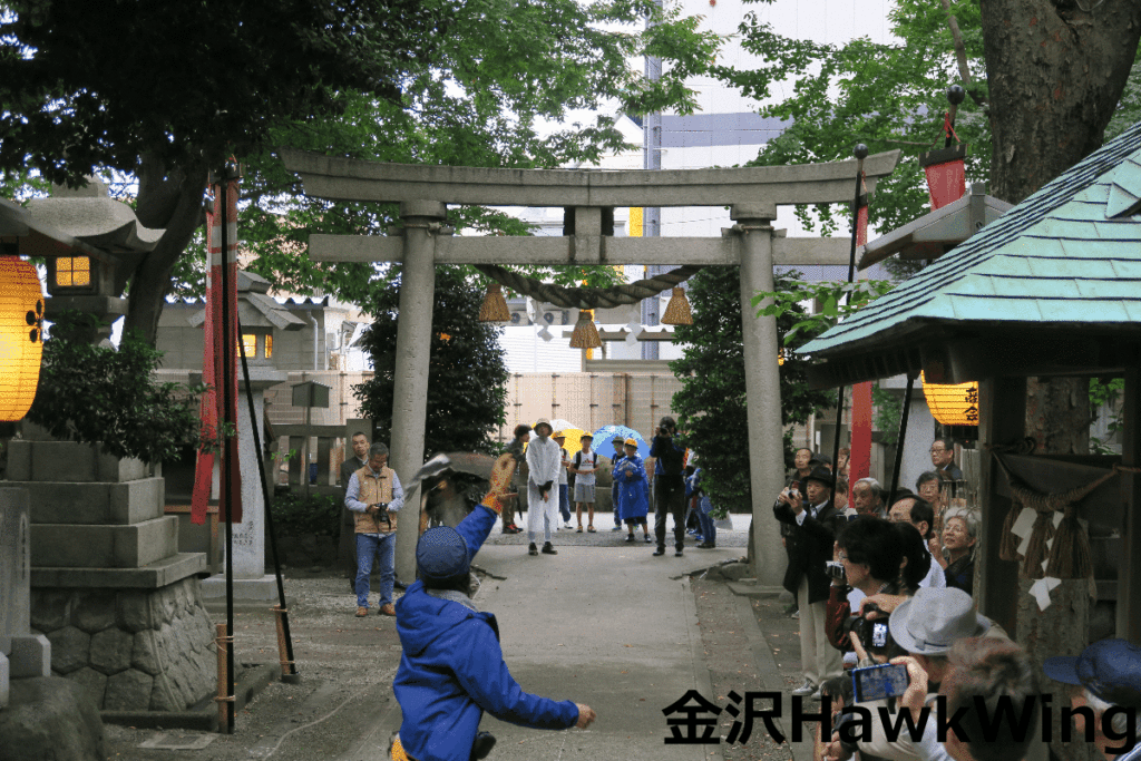 鷹匠放鷹術奉納 平成30年 10月 (3