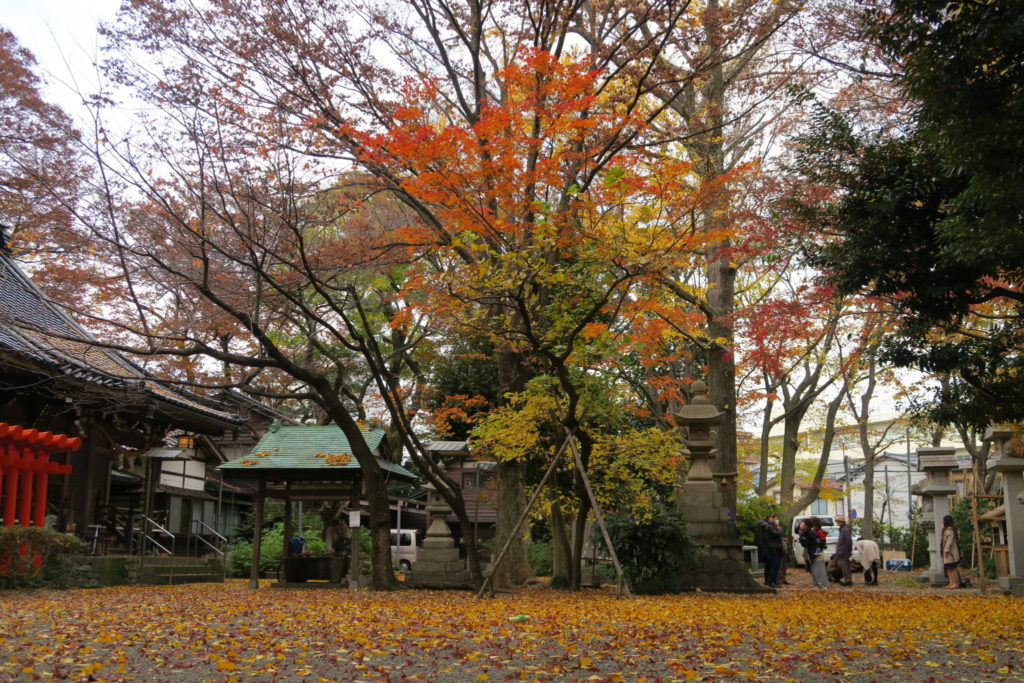 平成28年 秋の鷹匠安全祈願祭後の境内
