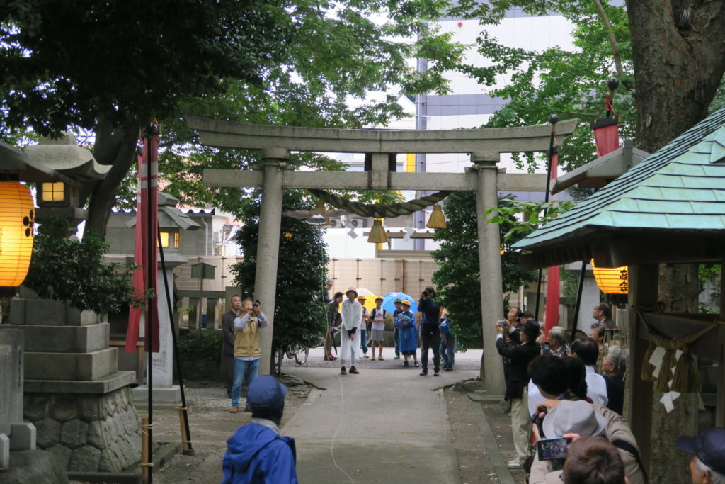 鳥居に向かって羽ばたくハリスホークさん