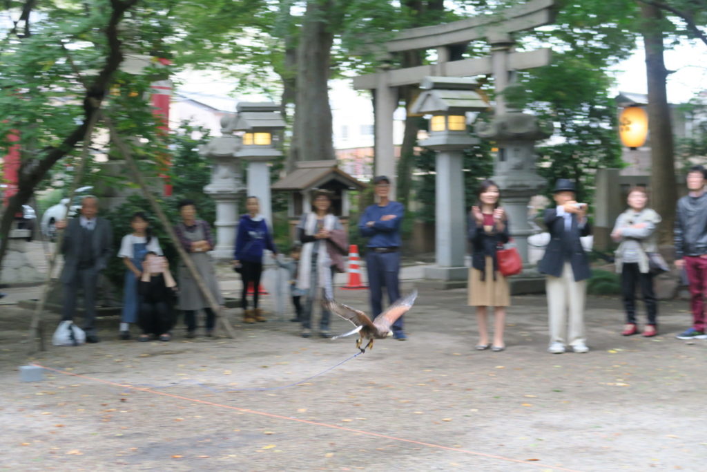 観客の見つめる中、物怖じせず目標に向かってくれました