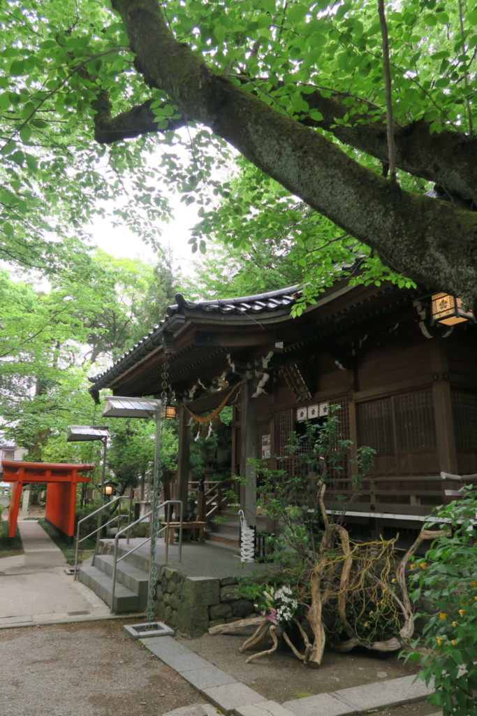 草月隆献花 平成30年 5月 拝殿横から赤鳥居と共に