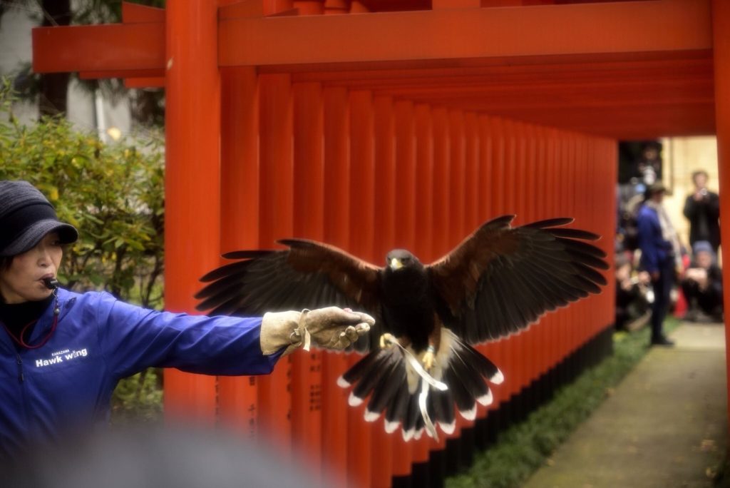 春日神社 法妖術奉納行事の一幕(観覧者撮影)