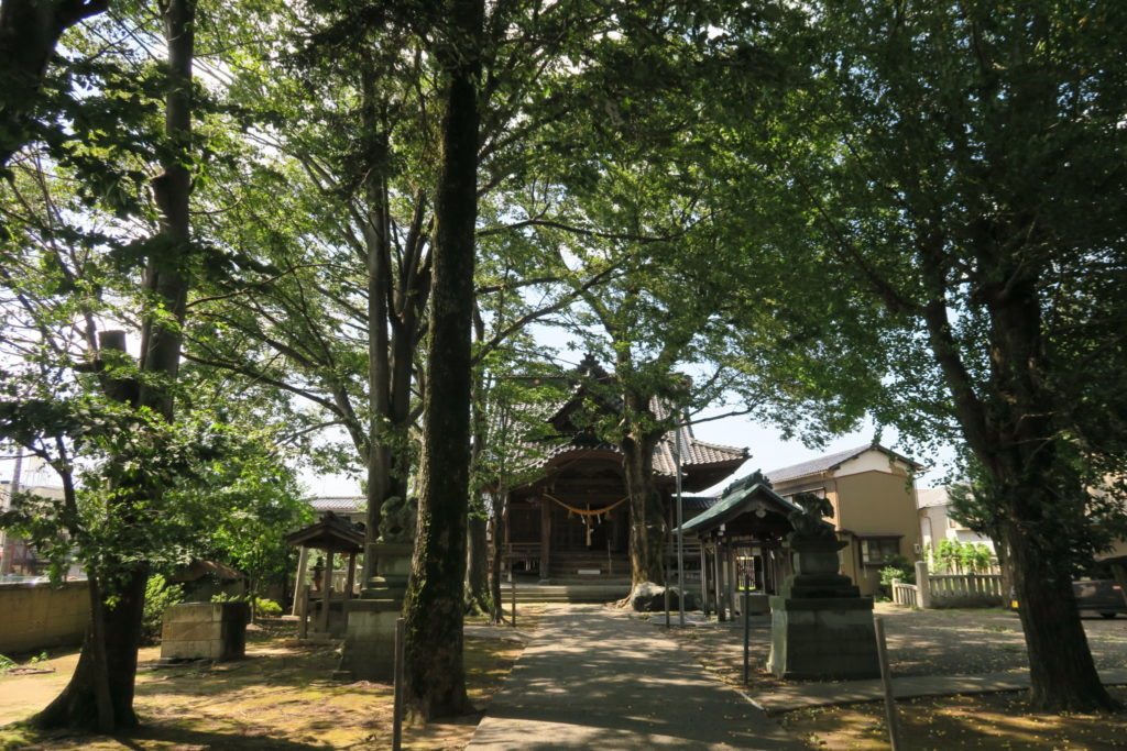 泉 国造神社 境内の様子1