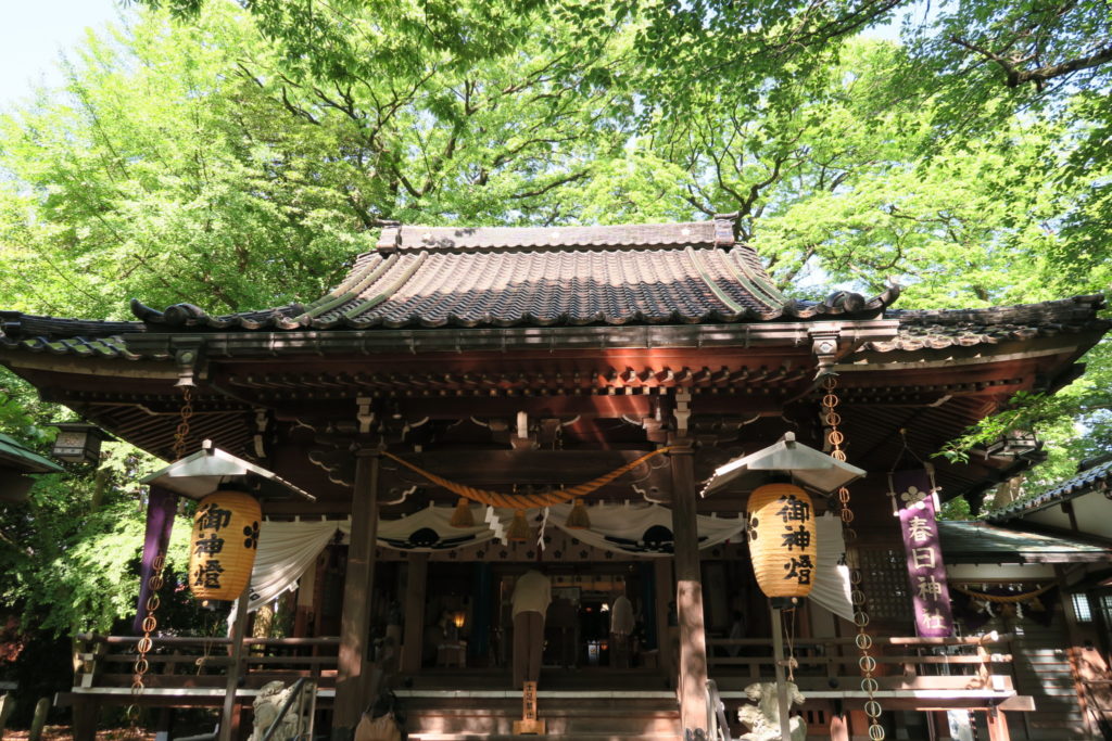 平成26年_春日神社拝殿_春の成人式