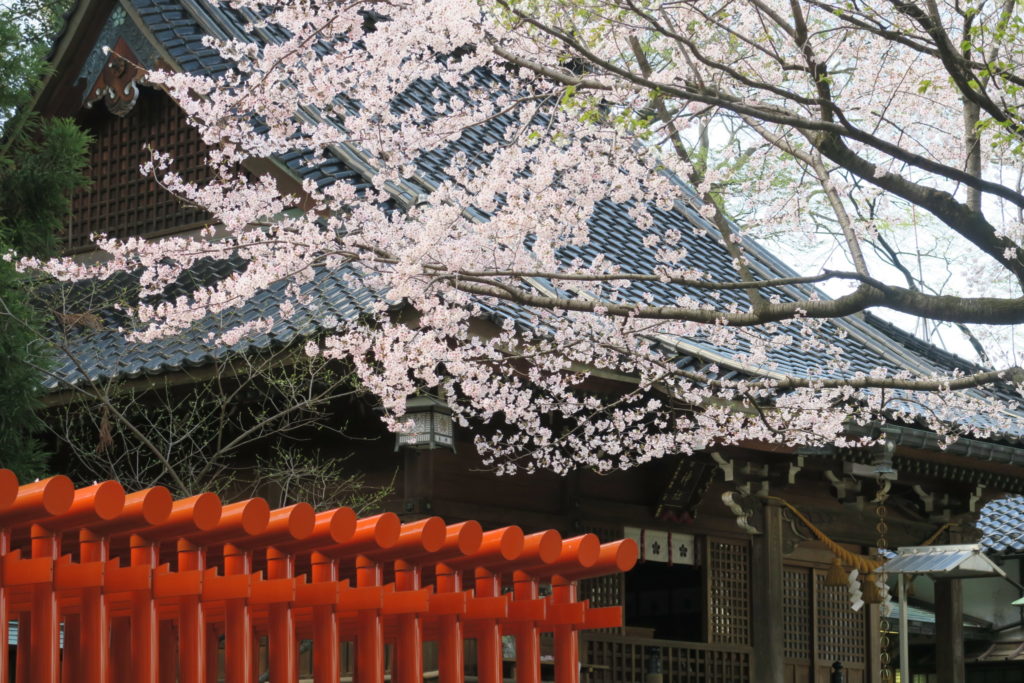平成31年_春の彩り_平成31年4月9日