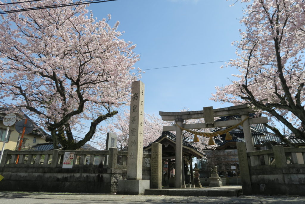 平成29年_高皇産霊神社_桜咲く境内