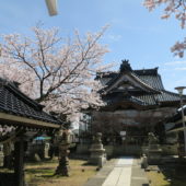 平成29年_高皇産霊神社_参道