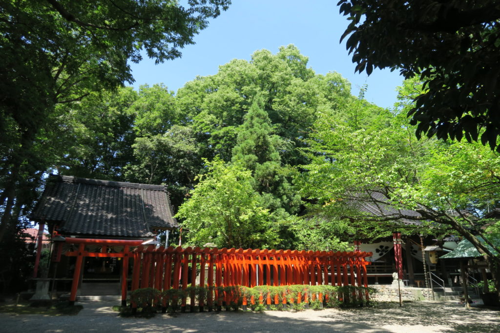平成30年_夏祭りの境内
