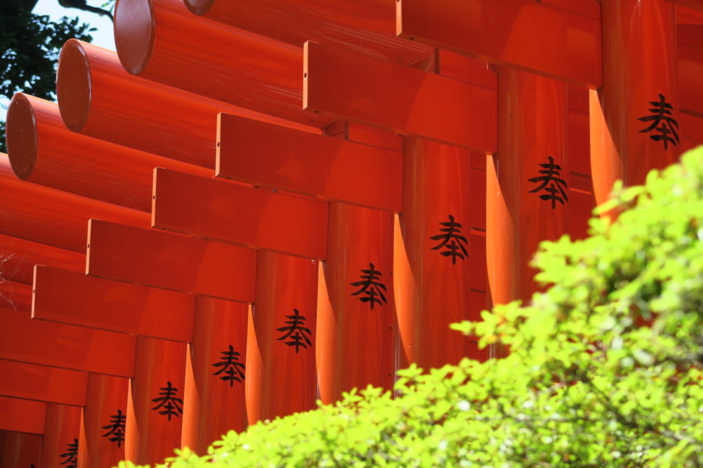夏の赤鳥居(平成30年7月)