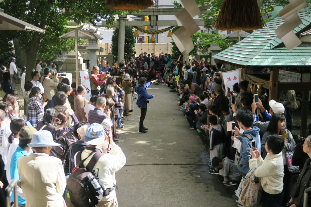 令和元年_鷹匠安全祈願祭_放鷹術奉納の様子