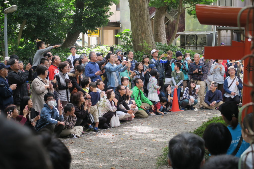 令和元年_鷹匠安全祈願祭_放鷹術奉納の様子_02