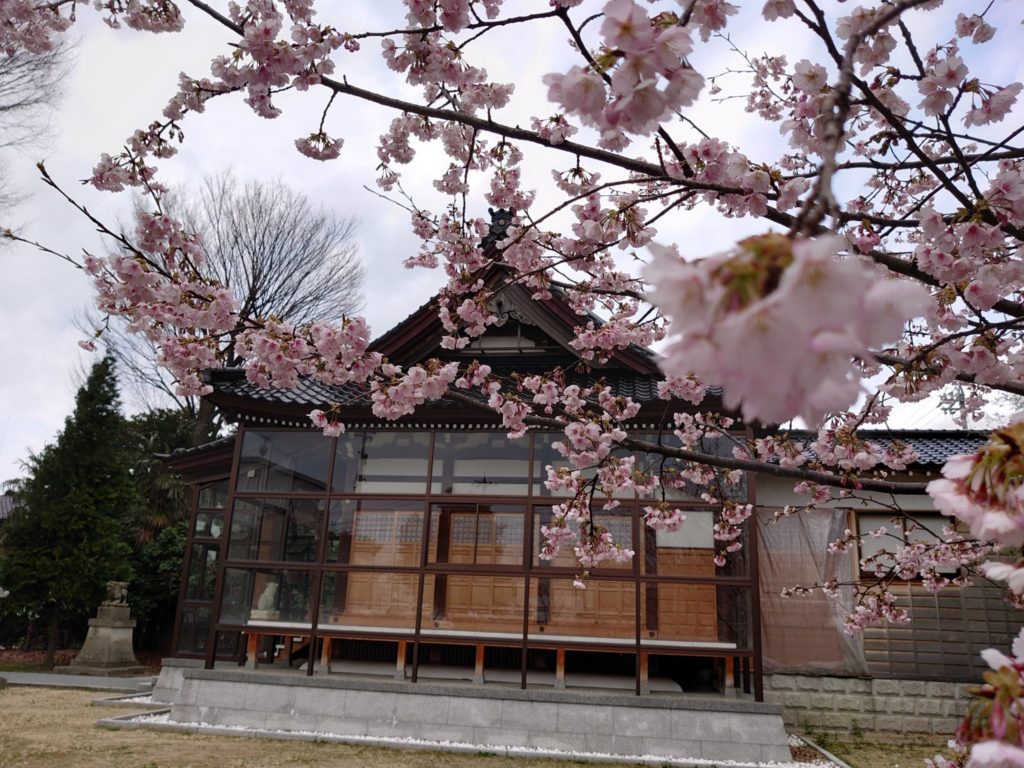 令和2年_荒川神社_桜の咲く姿
