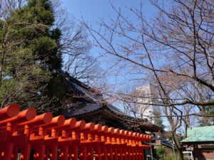 令和2年4月_桜咲く前_Xperia1