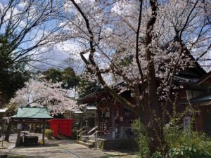 令和2年_桜の頃_Xperia1