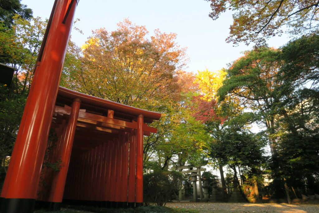 令和4年_春日神社_秋口の境内の様子(11月11日)